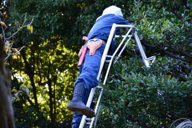 剪定 植栽 川崎市の植木屋 造園工事は庭ノ職人にお任せ